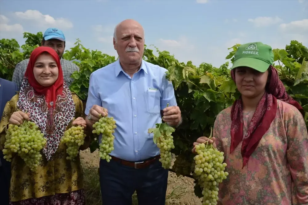 TZOB: Kadın çiftçilerimiz kırsalın umudu, tarımın güvencesidr