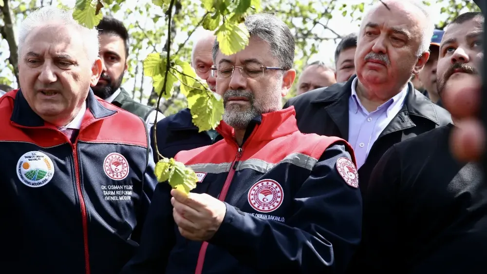 Zirai Don Destek Ödemeleri Hesaplara Yatırılmaya Başkanı