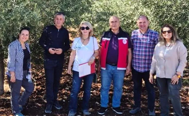 Perre Antik Kent kazlarında zeytinyağı atölyesi bulundu