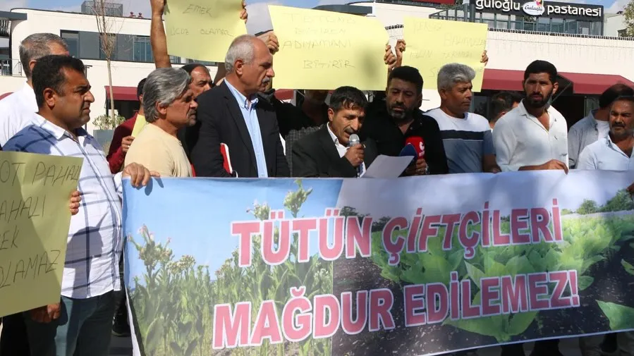 Adıyamanlı Tütün Üreticilerinden Fiyat Tepkisi