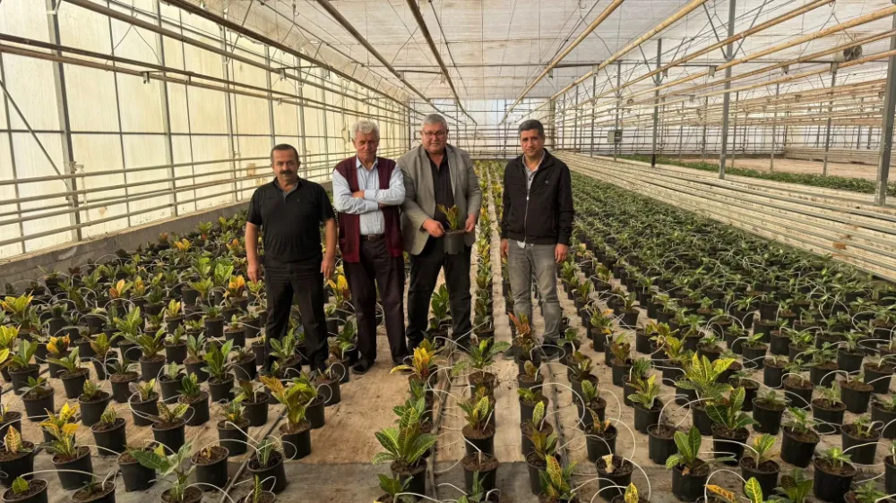 Kahta’dan Türkiye