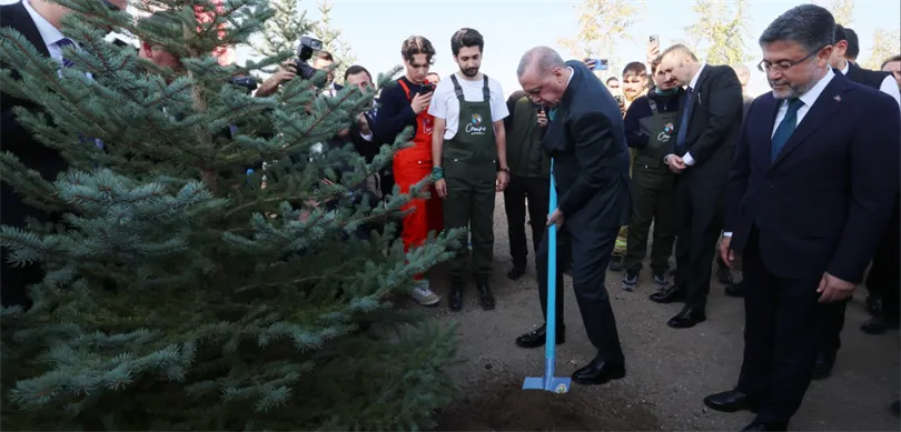 Milli Ağaçlandırma Günü