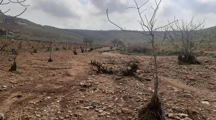 FAO’dan  8,1 milyon dolar arazi tahribatı destek