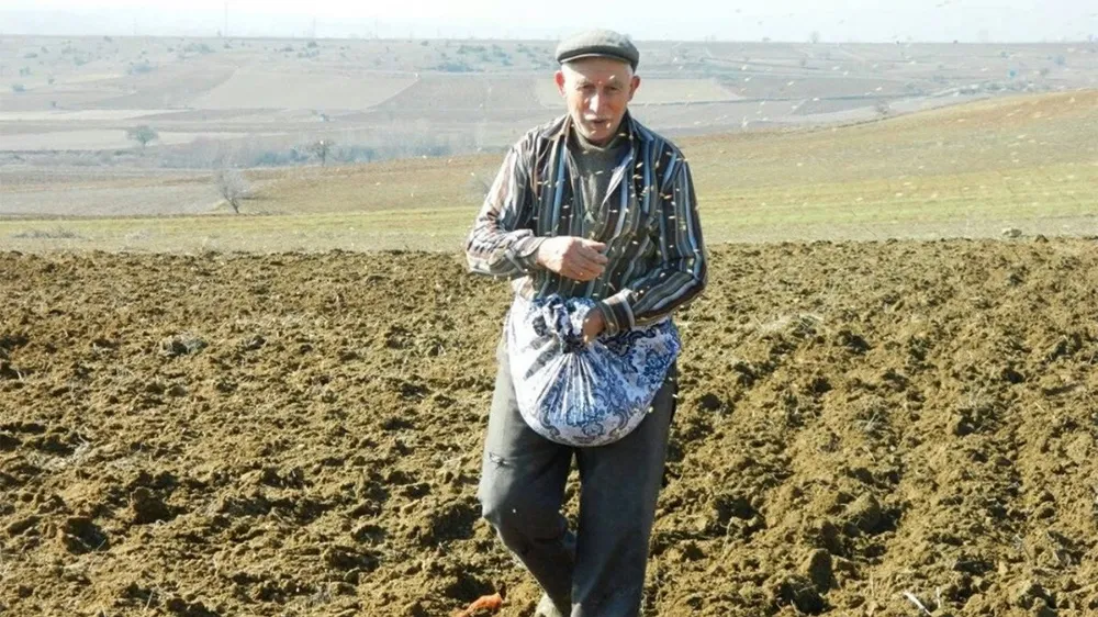 Güneydoğu’da Arpa Patlaması: Çıkışlar Güçlü, Gelişim Yağışa Kilitlendi