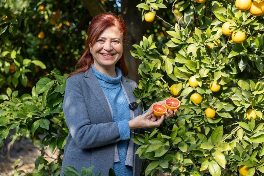Mersin Kan Portakalı Coğrafi İşaretle Tescillendi