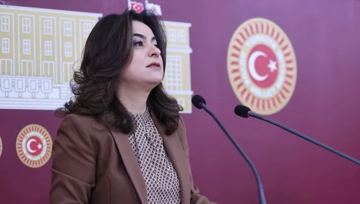 Koçyiğit: Barış Güvenlikle Değil Hukukla Kurulur