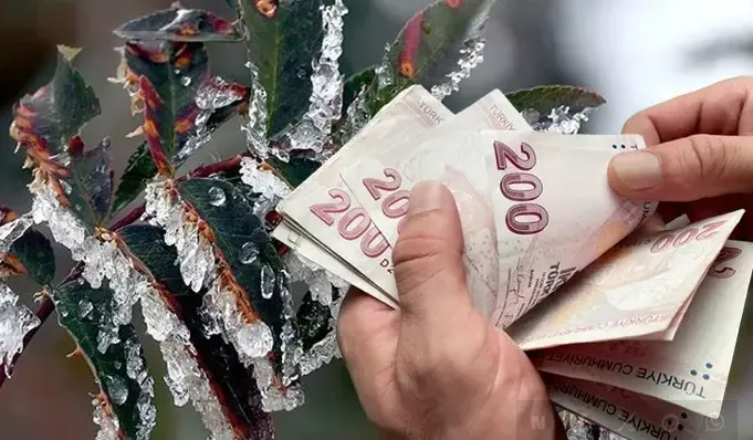 Tarım Sigortalarında Kasım Ayında 4,2 Milyar Lira Hasar Tazminatı Ödendi