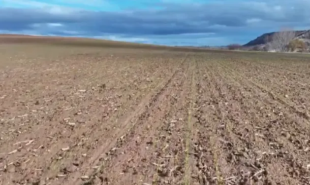 Güneydoğu’da Kuraklık Sonrası İlk Yağmur Çiftçiye Umut Oldu