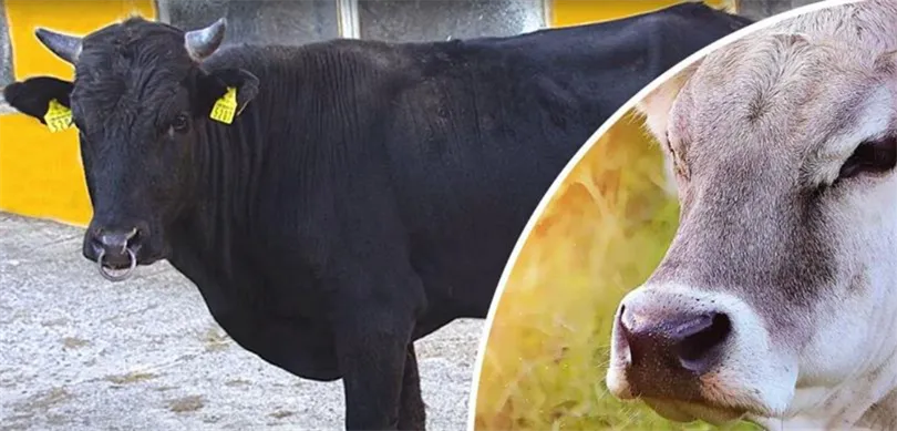 Halk Elinde Islah Projelerine 2,7 Milyar Liralık Destek