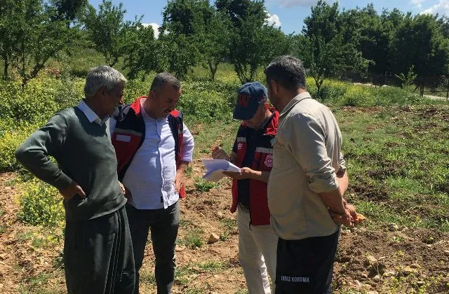 Dolu zararı sonrası hasar tespit çalışmaları sürüyor 