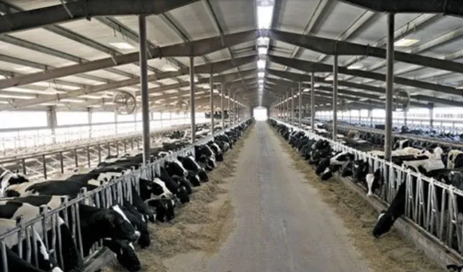 Tarıma büyük destek: 329 projeye 3,6 milyar TL hibe