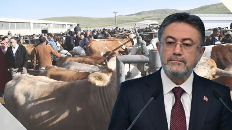 Bakan Yumaklı