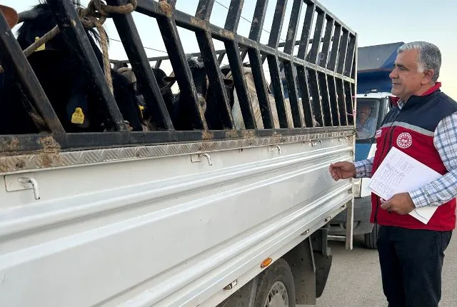 Kurban Öncesi Hayvan Nakil Araçlarına Sıkı Denetim