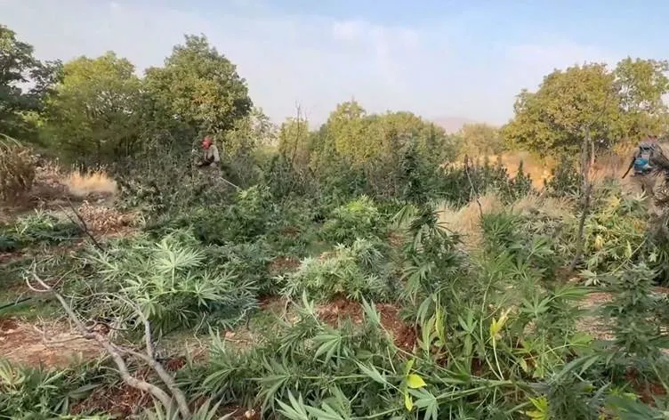 Diyarbakır