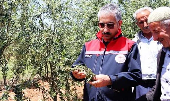 Dolu Zarar Tespit Çalışmaları Devam Ediyor