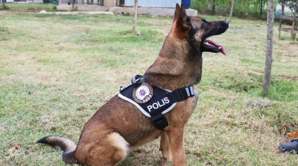 Van ve Şanlıurfa’da 311,5 kilo madde ele geçirildi