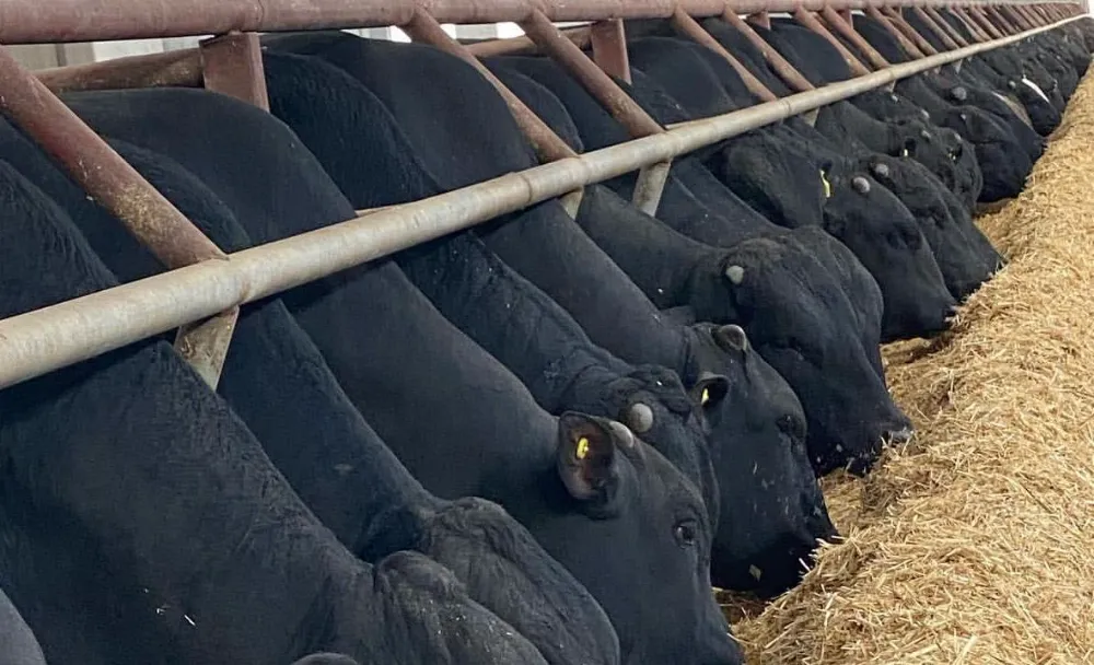 Kırsalda Bereket Hayvancılığa Destek Projesi 1. Etap Sonuçları Açıklandı