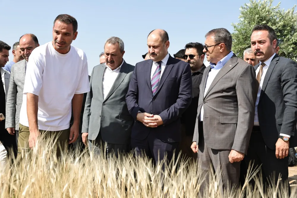 Şanlıurfa Uluslararası Buğday Hasadı Festivali Başladı