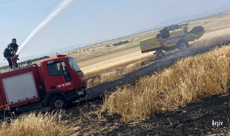 25 Dönüm Ekili Alan Küle Döndü