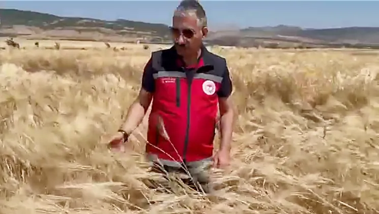 Akkan: İklim değişikliği bilimsel tarımı zorunlu hale getiriyor