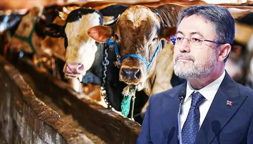 Bakan Yumaklı