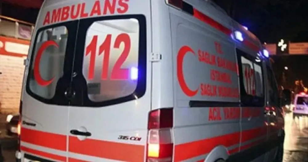 Kaza yapan elektrikli otomobilde bulunan 2 kişi yanarak hayatını kaybetti
