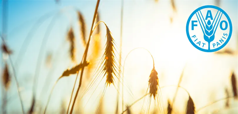 Türkiye FAO Konsey Üyeliğine Seçildi
