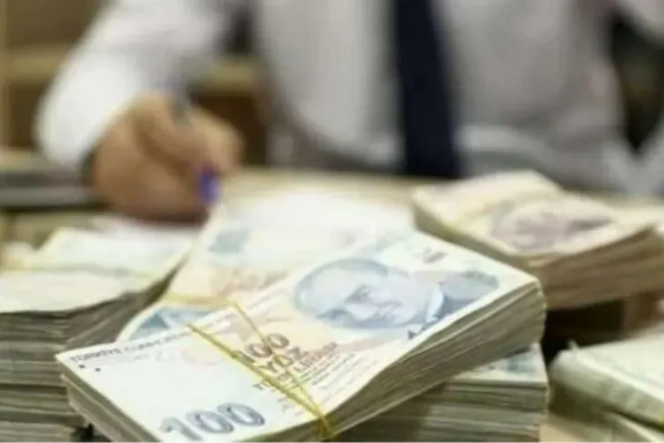 Amme Alacakları