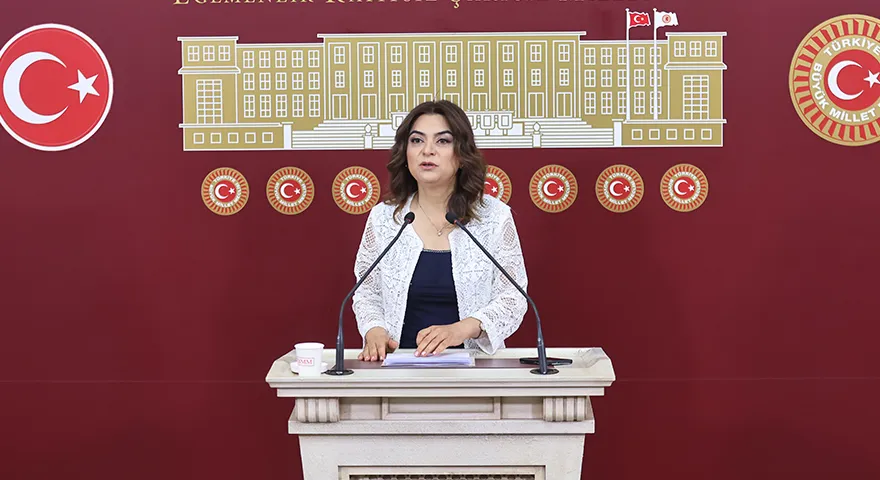 Koçyiğit: Komisyon,Kürt sorununun siyasal zeminde tartışılmasına bir olanak sağladı
