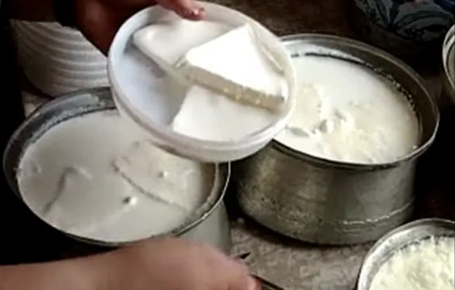 Krema Ve Kaymak Üretiminde Yeni Kurallar Yürürlüğe Girdi