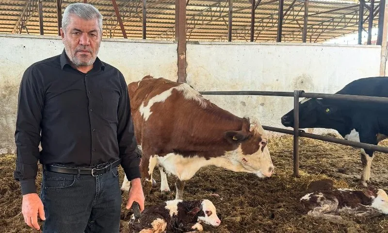 ADSYB Başkanı Öztürk,Besicileri Üçgün hastalığı konusunda uyardı!