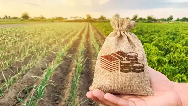 Yeni Desteklerin Detayları Belli Oldu