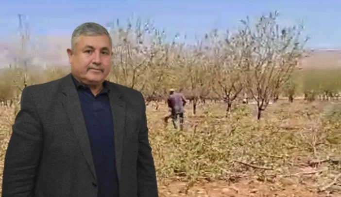 Turanlı: Badem Üreticisinin Hevesini kursağında bıraktılar!