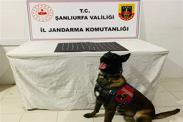 Şanlıurfa