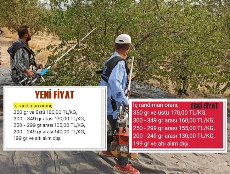 Tarım Kredi Birliği Badem Üreticisinin Sesini Duydu!
