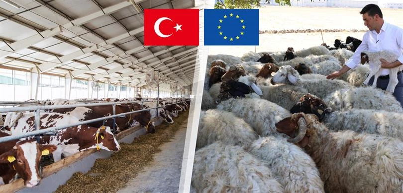 51 projeye 221 milyon hibe